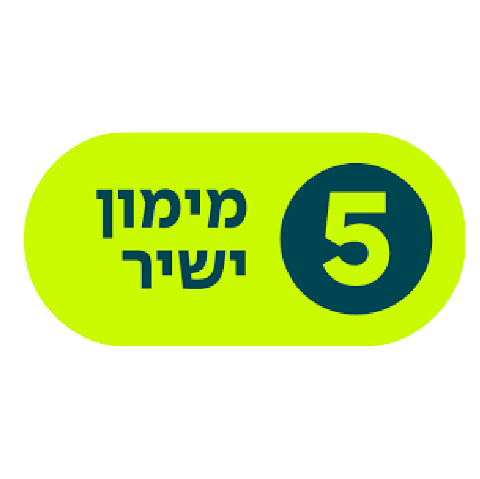 מימון ישיר
